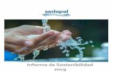 Informe de Sostenibilidad 2019 - cdn.