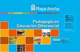 Pedagogía en - Playa Ancha University