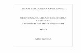 JUAN EDUARDO APOLONIO RESPONSABILIDAD SOLIDARIA …