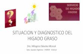 SITUACION Y DIAGNOSTICO DEL HIGADO GRASO