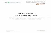PLAN ANUAL DE TRABAJO 2021