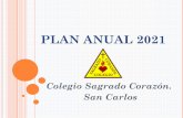 PLAN ANUAL 2021 - cosacor.cl
