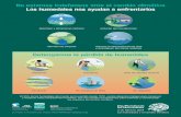 WWD19 Infographics spanish - Ramsar