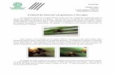 Control de insectos en pasturas y forrajes-Carta circular ...