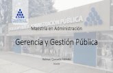 Gerencia y Gestión Pública - helmanquesada.com