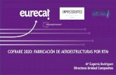 COFRARE 2020: FABRICACIÓN DE AEROESTRUCTURAS POR RTM