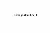CAPITULO 1. ANTECEDENTES Y SITUACION ACTUAL