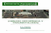 Itinerario Formativo - Hospital Clínic de Barcelona