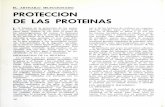 EL ARTICULO SELECCIONADO PROTECCION DE LAS PROTEINAS