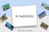 EL PALEOZOICO - Colegio Siglo XXI