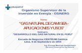 Tema: “GAS NATURAL DE CAMISEA - APLICACIONES Y USOS”
