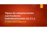 Tipos de adaptaciones curriculares individualizadas (A.C.I.)
