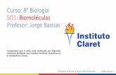 Curso: 8° Biología SD1: Biomoléculas Profesor: Jorge Bastias