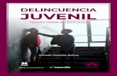 DELINCUENCIA JUVENIL - Marcial Pons