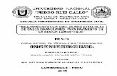 UNIVERSIDAD NACIONAL ,!:t,,., ,. PEDRO RUIZ GALLO