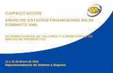ENVÍO DE ESTADOS FINANCIEROS BAJO FORMATO XML