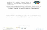 ESTUDIO DE CARACTERIZACIÓN Y DIAGNÓSTICO N° 01