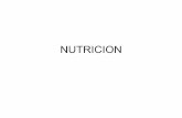 NUTRICION - Salud DGIRE UNAM