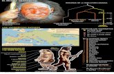 40.000 Neandertales LOS YACIMIENTOS DATADOS