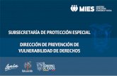SUBSECRETARÍA DE PROTECCIÓN ESPECIAL DIRECCIÓN DE ...
