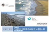 TEMA 5 IC 2016-2017 PROCESOS SEDIMENTARIOS EN LA ZONA DE ...