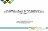 BONDADES DE LOS MICROORGANISMOS …