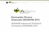 Formación Técnica Avanzada (REGROW ATF)
