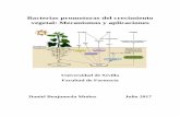 Bacterias promotoras del crecimiento vegetal: Mecanismos y ...