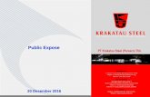 Public Expose - Krakatau Steel