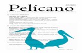 Pelícano - bibdigital.uccor.edu.ar
