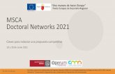 MSCA Doctoral Networks 2021