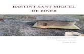 BASTINT SANT MIQUEL DE RINER - premisrecerca.uvic.cat