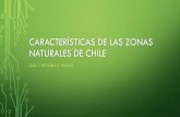 Características de las zonas naturales de chile