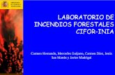 LABORATORIO DE INCENDIOS FORESTALES CIFOR-INIA