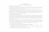 5 CAPITULO I REVISIÓN BIBLIOGRÁFICA 1.1 Clasificación de ...