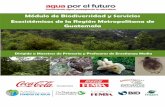 Módulo de Biodiversidad y Servicios Ecosistémicos de la ...