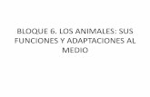 BLOQUE 6. LOS ANIMALES: SUS FUNCIONES Y …