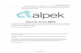 Reporte Anual 2013 - alpek.com