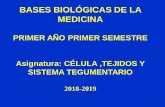 BASES BIOLÓGICAS DE LA MEDICINA - uvsfajardo.sld.cu
