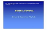 Giovanni Di Bonaventura, PhD, B.Sc. - uniroma1.it