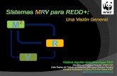 Sistemas MRV para REDD+