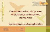 Documentación de graves violaciones a derechos humanos ...