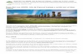 Rapa Nui con AMOR: Isla de Pascua trabaja y actúa por el ...