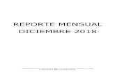 REPORTE MENSUAL DICIEMBRE 2018 - Altamira