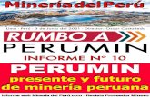 INFORME Nº 10 PERUMIN - mineriadelperu.com
