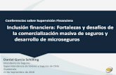 Conferencias sobre Supervisión Financiera Inclusión ...