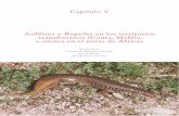 Capítulo V Anfibios y Reptiles en los territorios ...