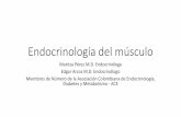 Endocrinología del músculo - UDES