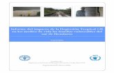 Informe del impacto de la Depresión Tropical 12E en los ...