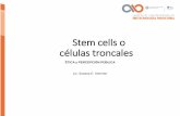 Stem cells o células troncales